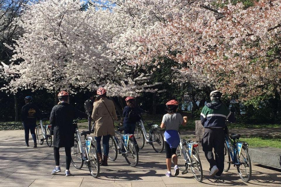 Cyclists exploring Hanoi during spring with cherry blossoms in the background