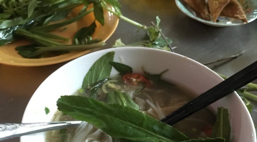 Steaming bowl of vegetarian pho with fresh herbs and tofu