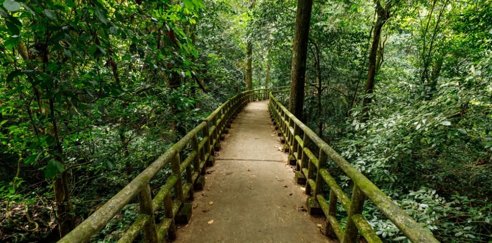 Hanoi Car Rental | Hanoi to Cuc Phuong National Park