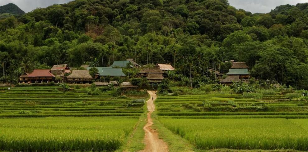 Hanoi Car Rental | Hanoi to Mai Chau, Pu Luong and Ninh Binh 5D4N