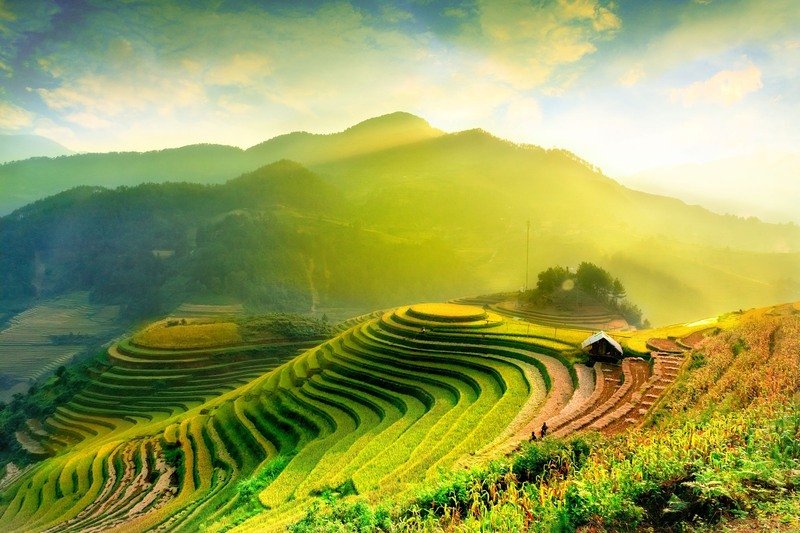 Hanoi to Mu Cang Chai: Your Complete Travel Guide 2025