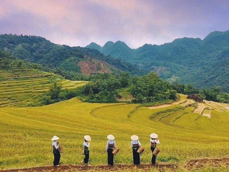 Discovering the Road from Mai Chau to Hanoi