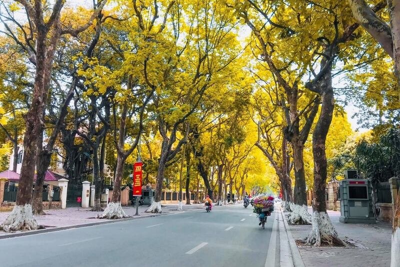 Motorcycle Tour Hanoi: The Ultimate Guide for Enthusiastic Riders