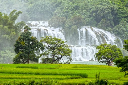 Nguom Ngao cave Cao Bang 2022
