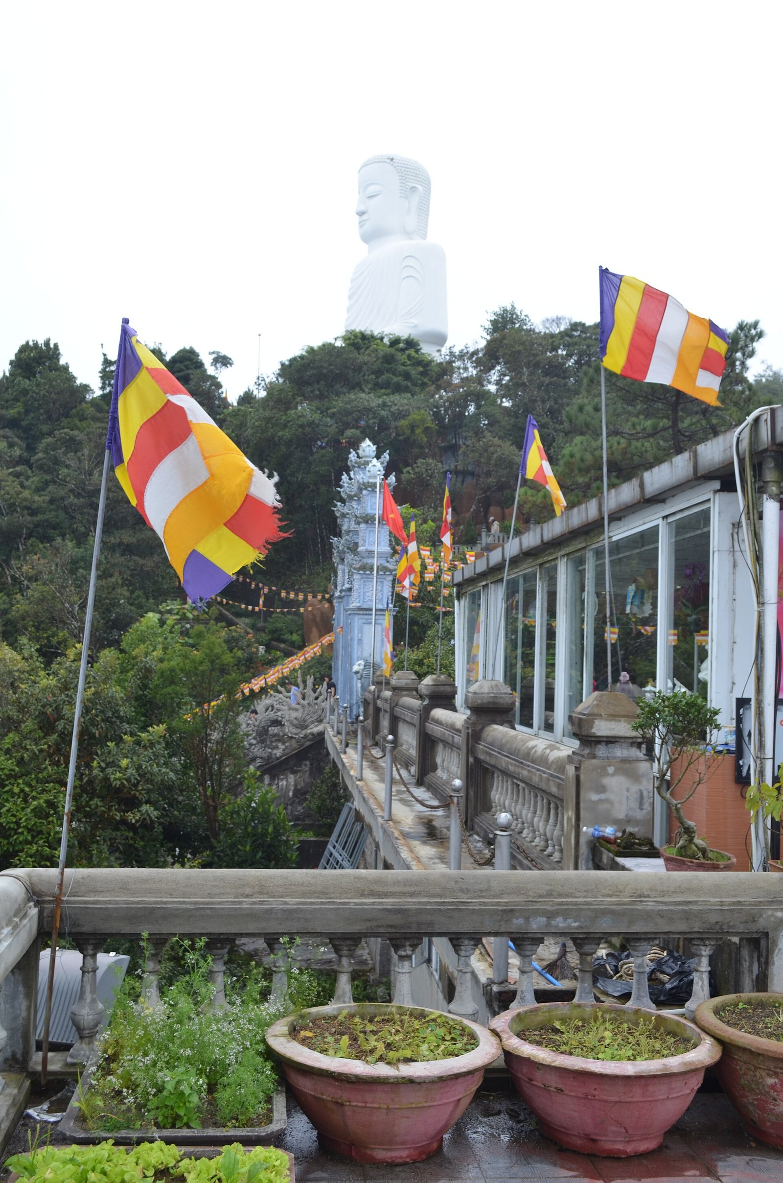 Saigon to Danang: Vietnam Highlands Motorbike Tour 7 days