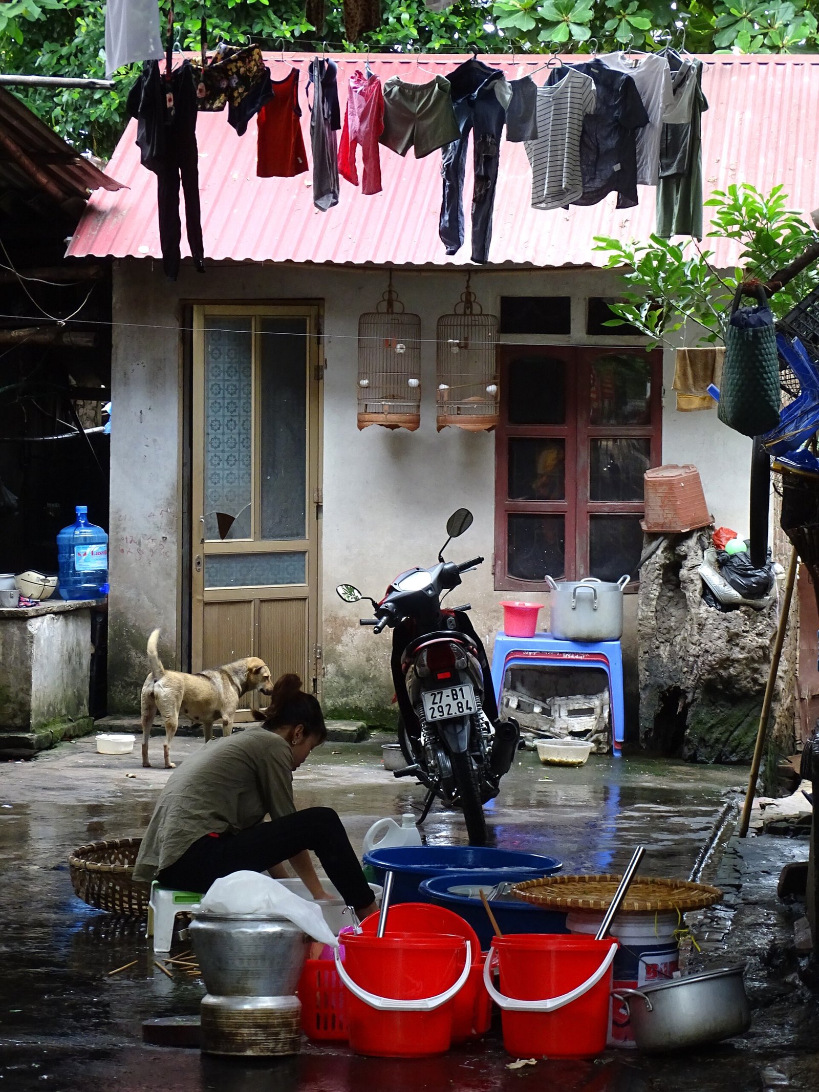 Dien Bien Phu Homestay & Community - 2 Days 1 Night