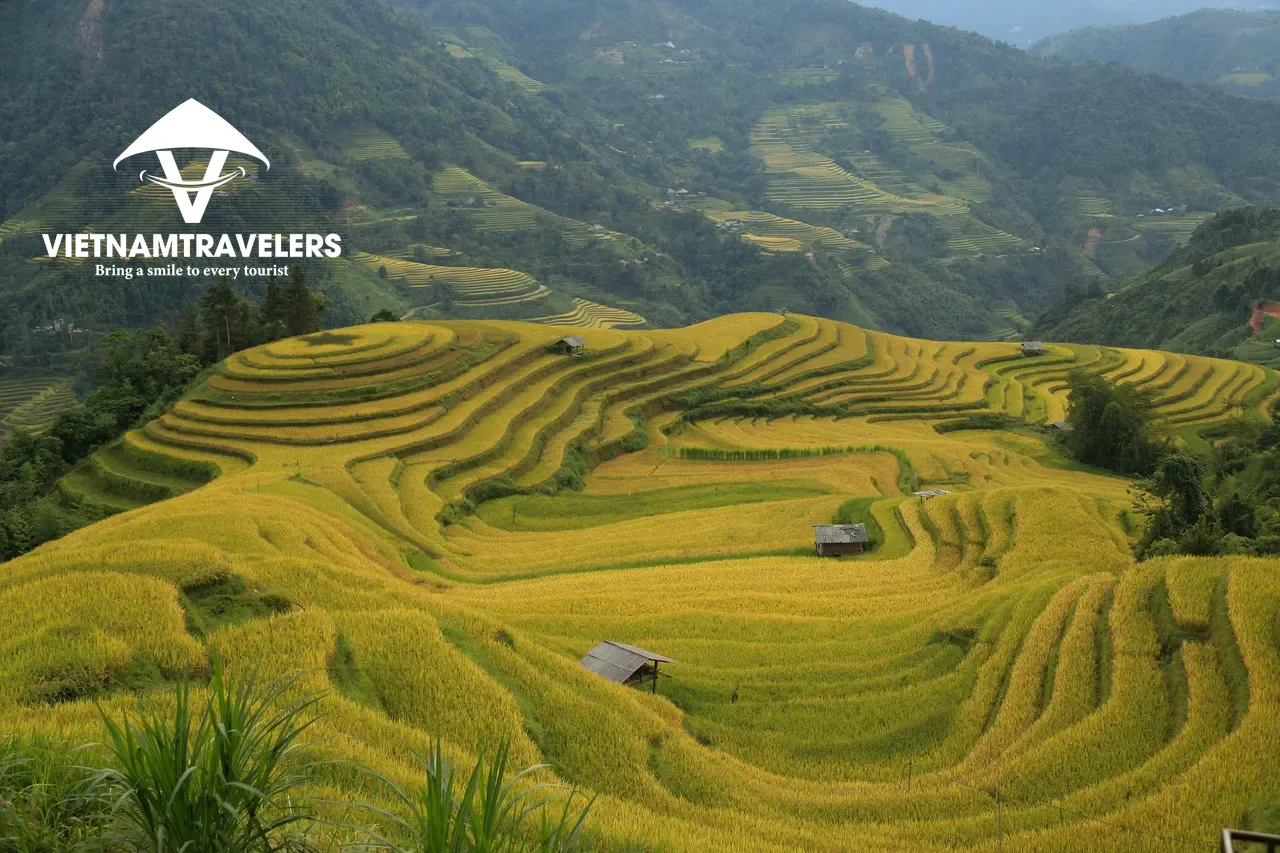 8-Day Hoang Su Phi Trekking Tour – Off-the-Beaten-Path Adventure from Hanoi