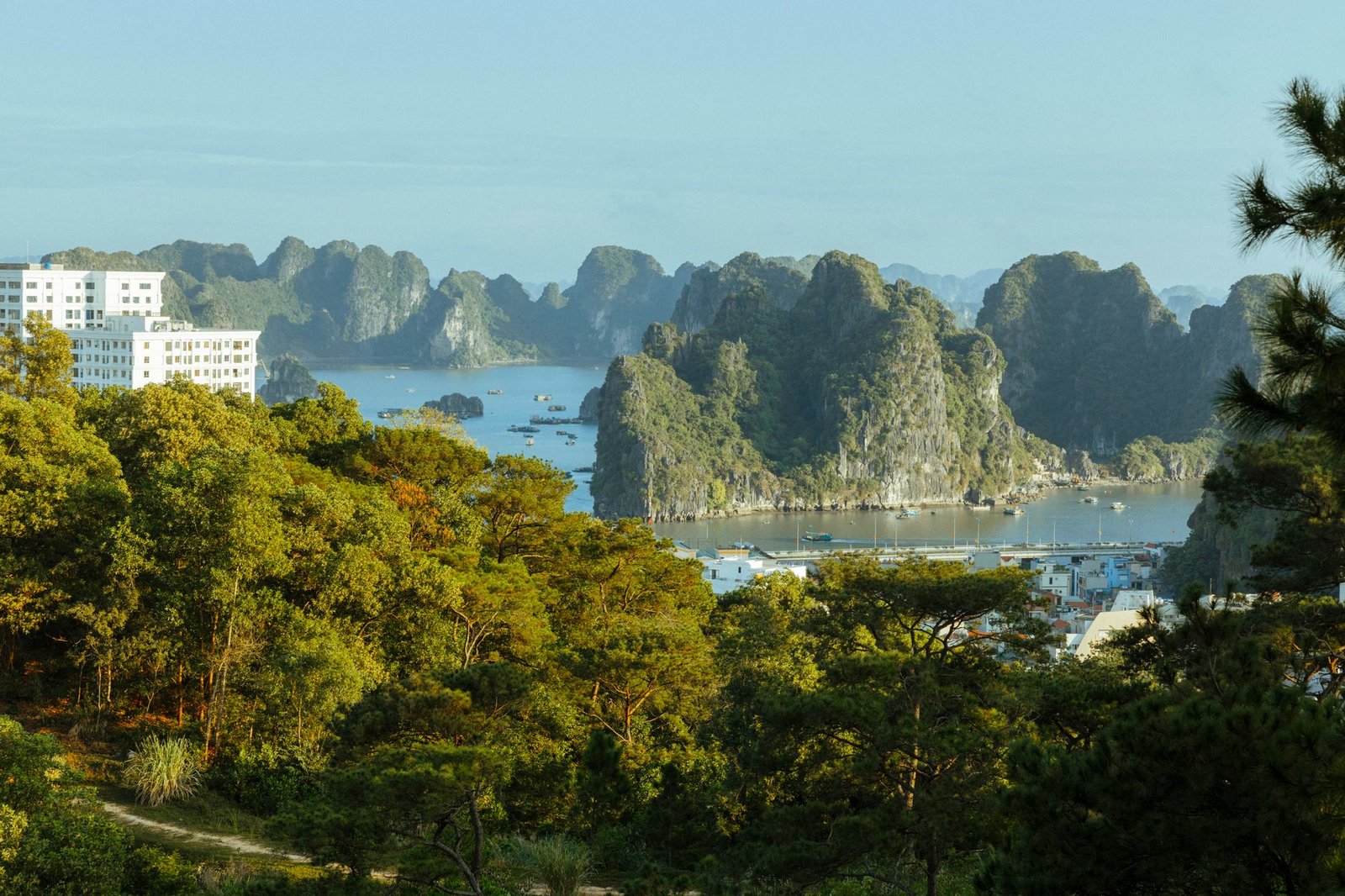Full Day Hiking Cat Ba National Park