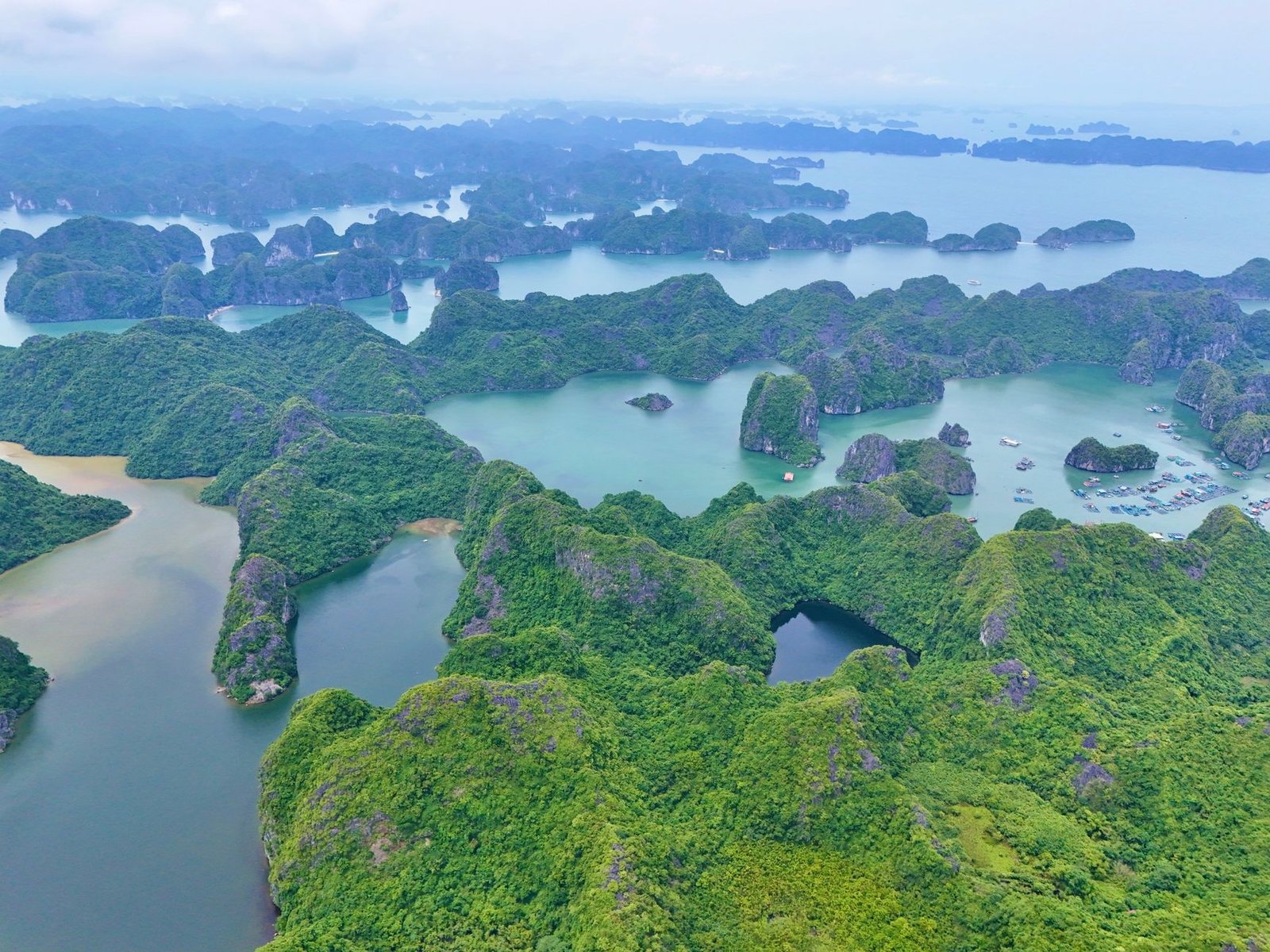 Lan Ha Bay Bioluminescent Tour - Sunset & Night Kayaking