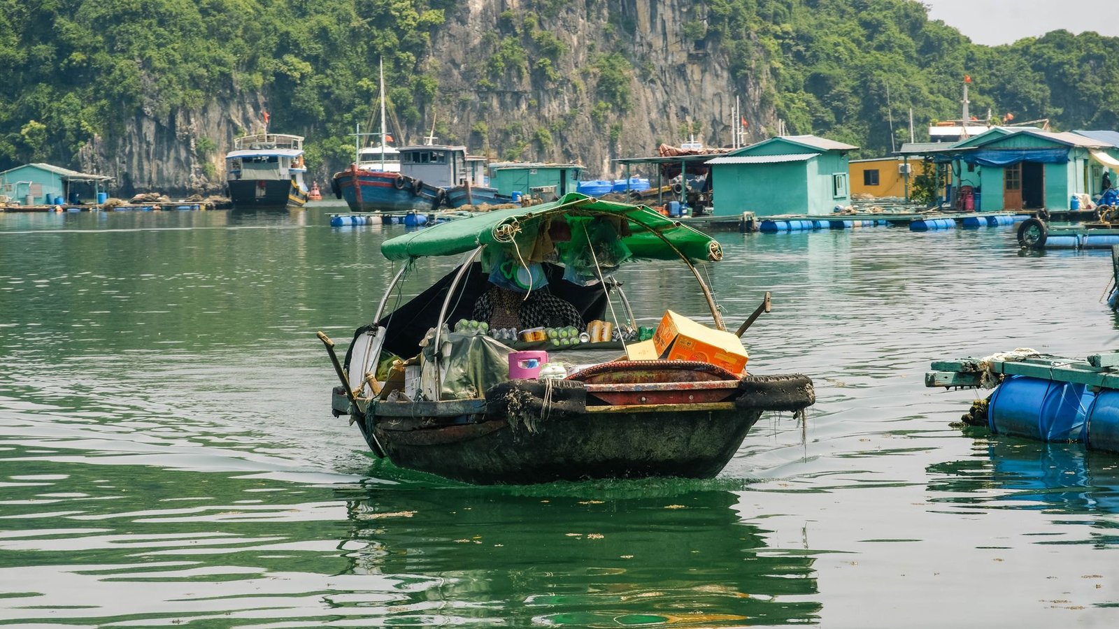 Cat Ba Full-Day Climbing Adventure