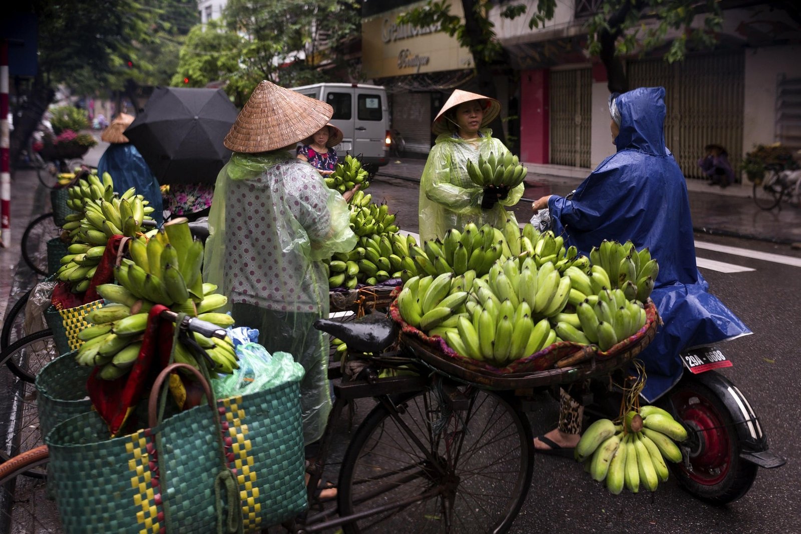 Private Transfer Hanoi Airport - Halong Bay