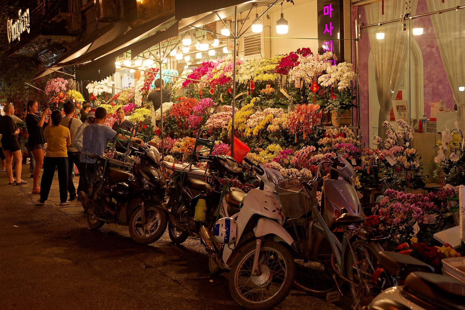 Hanoi Bike to Red River Island Half day