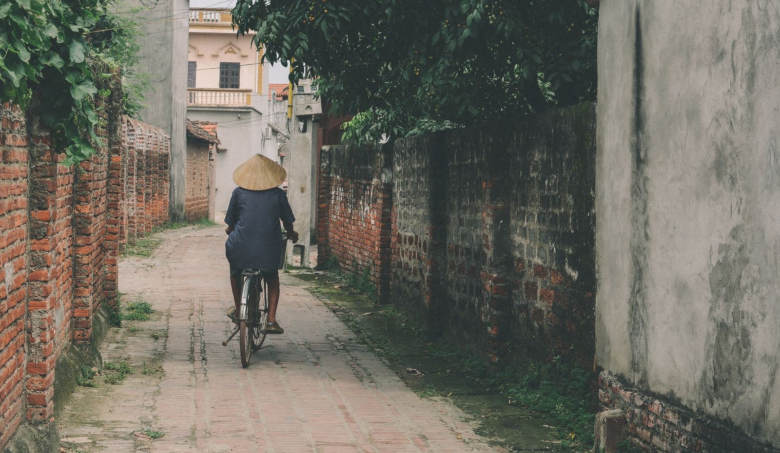Cat Ba island Lan Ha Bay One Day Journey From Hanoi
