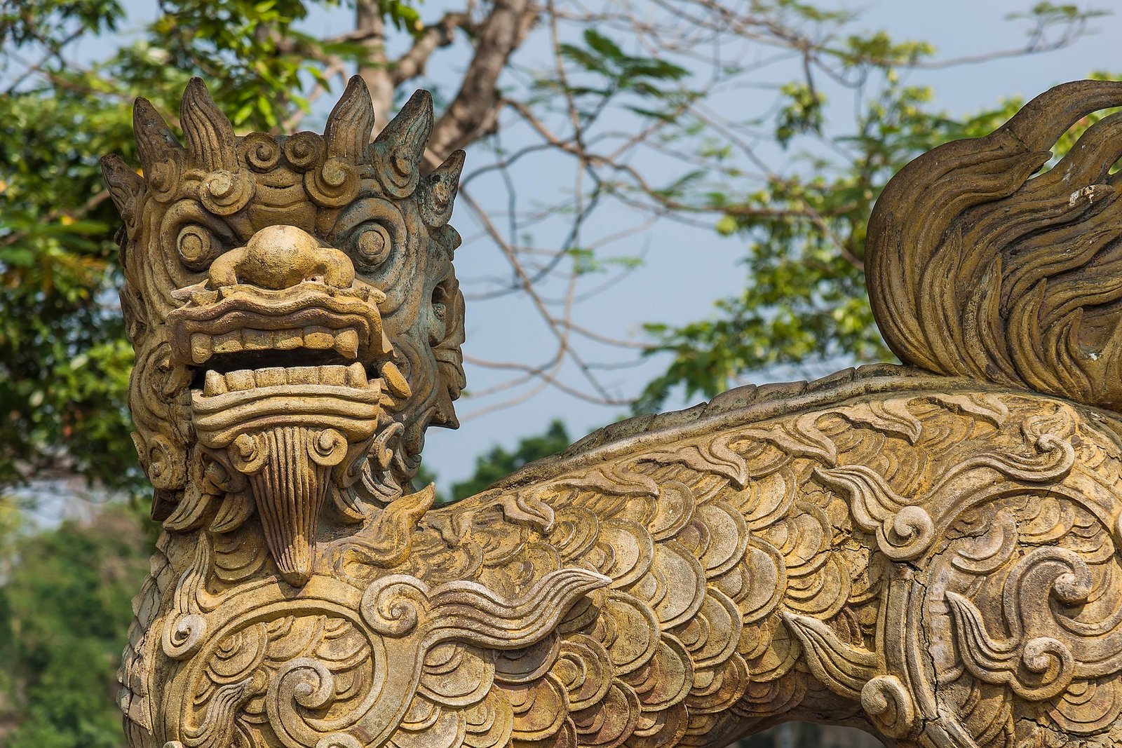 Hue to My Son & Hoi An 1 Day - Private Tour
