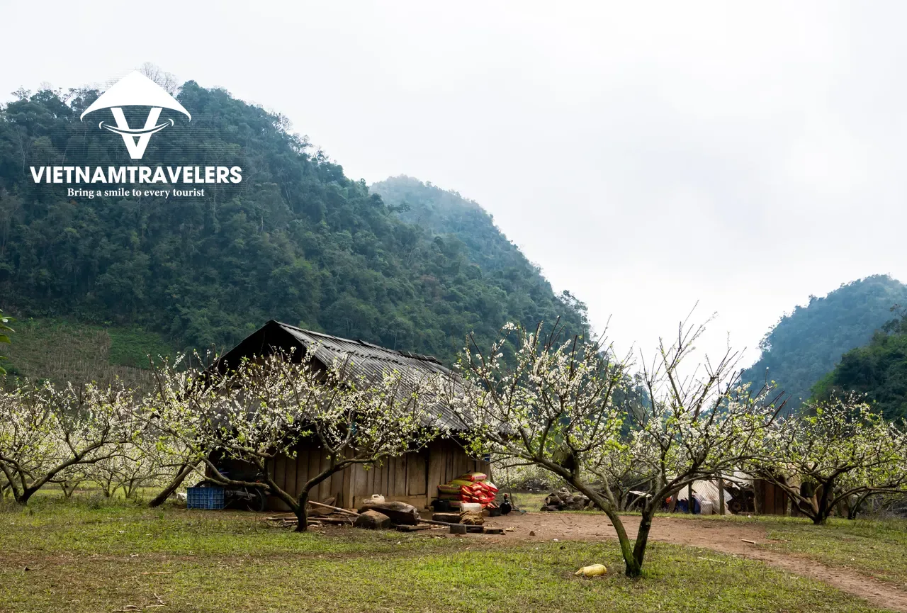 Easy Mai Chau – Ninh Binh Tour from Hanoi – 03 Days