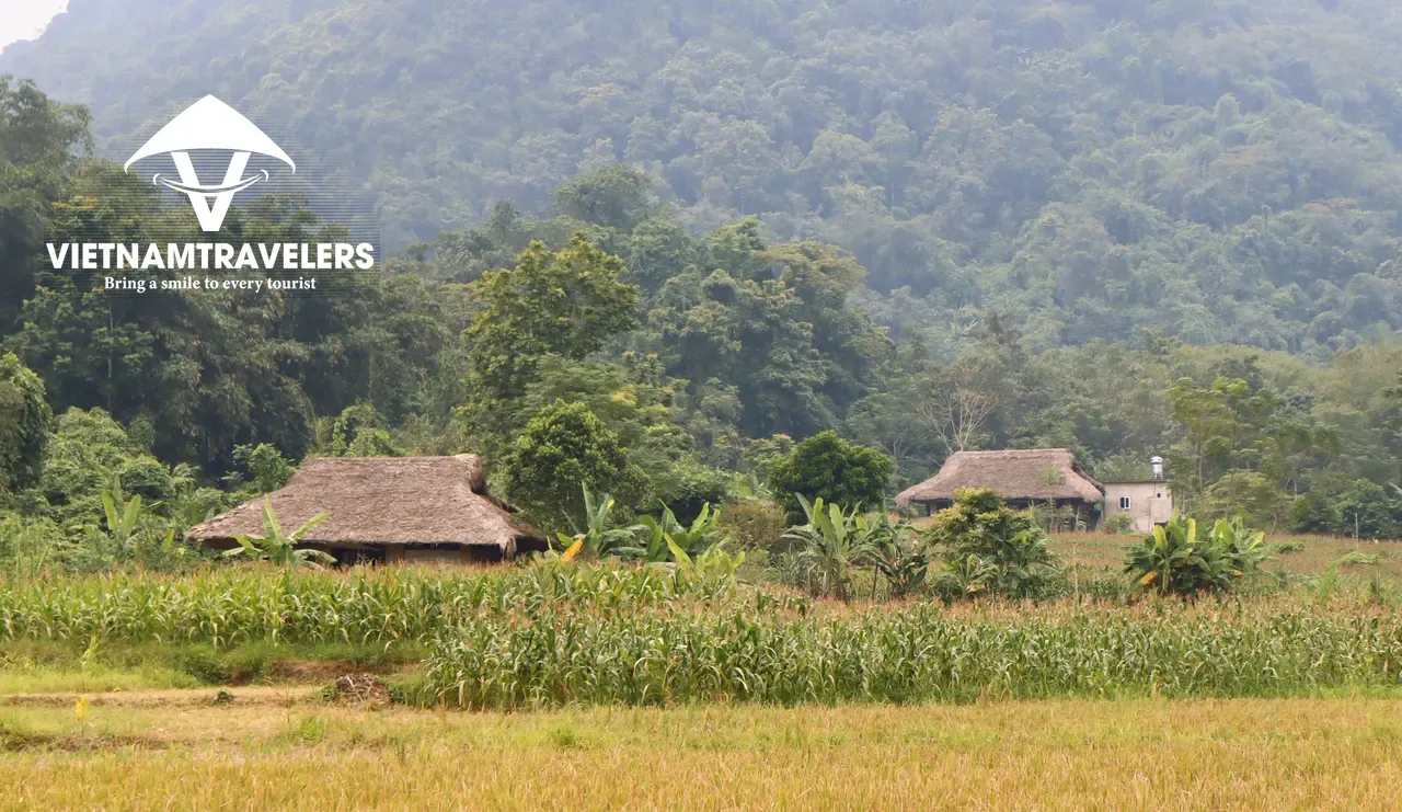 Highlights of Vietnam Village Life - Ninh Binh, Cuc Phuong & Pu Luong 5 Days