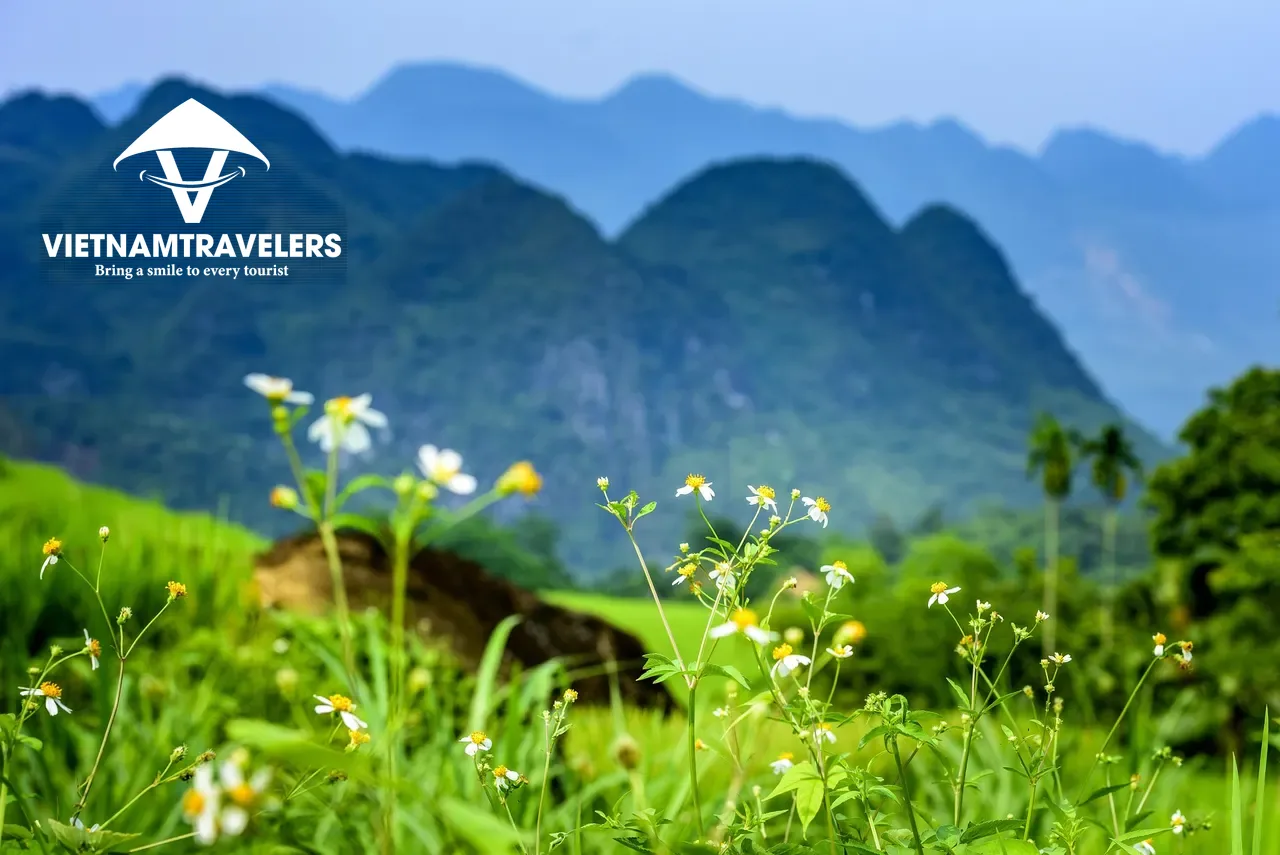 Hanoi – Mai Chau – Pu Luong – Ninh Binh – Halong Bay Grand Adventure – 10 Days