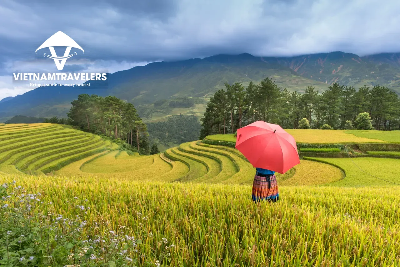 Sapa Tour By Train - 4 Nights 3 Days - With Bac Ha Market & Villages