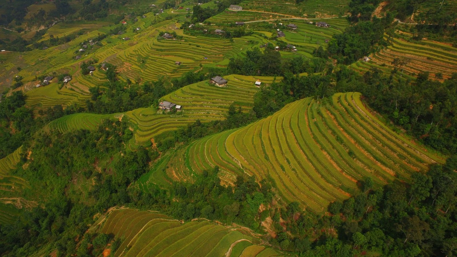 Hanoi, Halong Bay, Ninh Binh & Sapa 6 Days 5 Nights