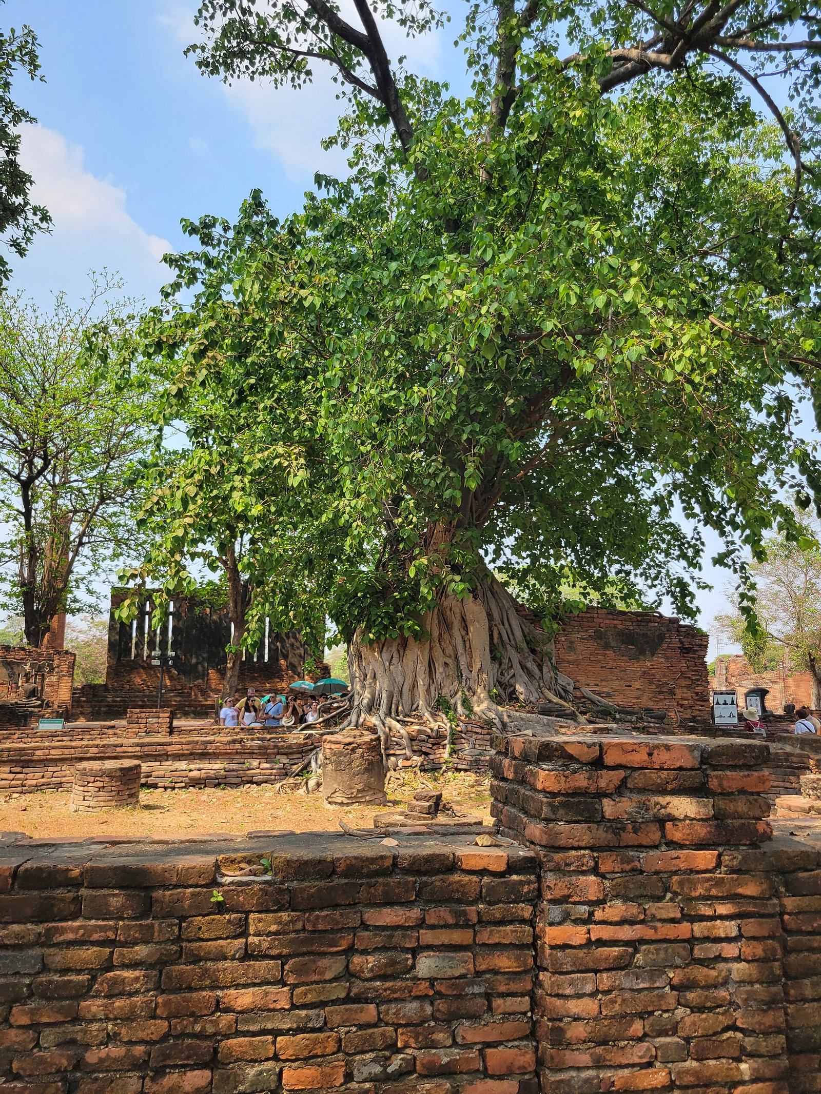 Historical Highlights of Ayutthaya Full day