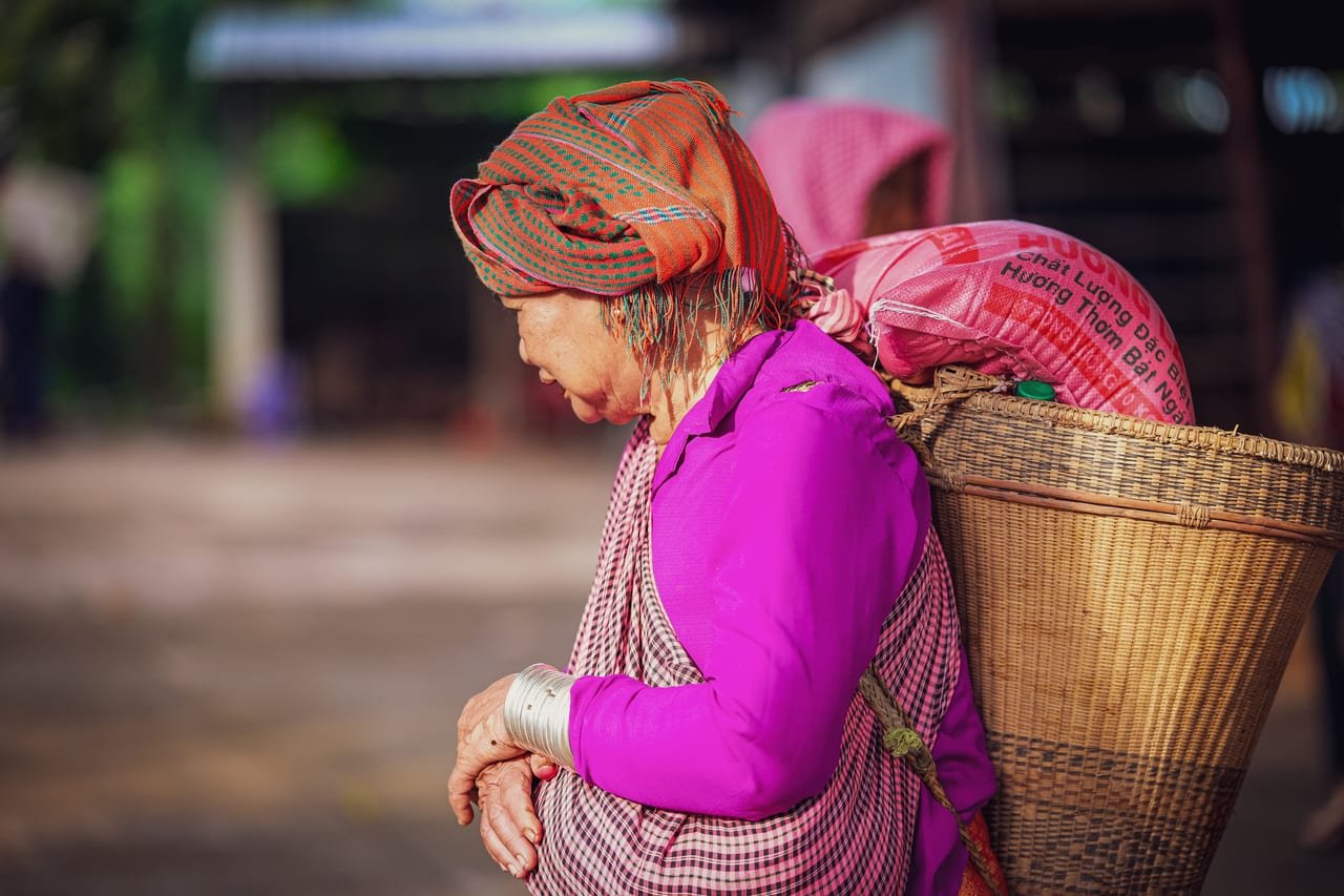 Sapa – Bac Ha Private Trekking Tour from Hanoi | 3 Days of Authentic Mountain & Minority Experience