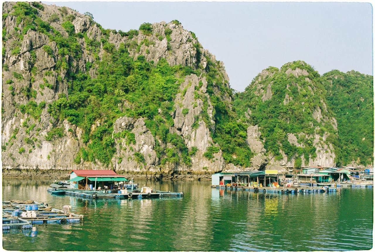 Lan Ha Bay Day Cruise from Hanoi (Serenity Premium)