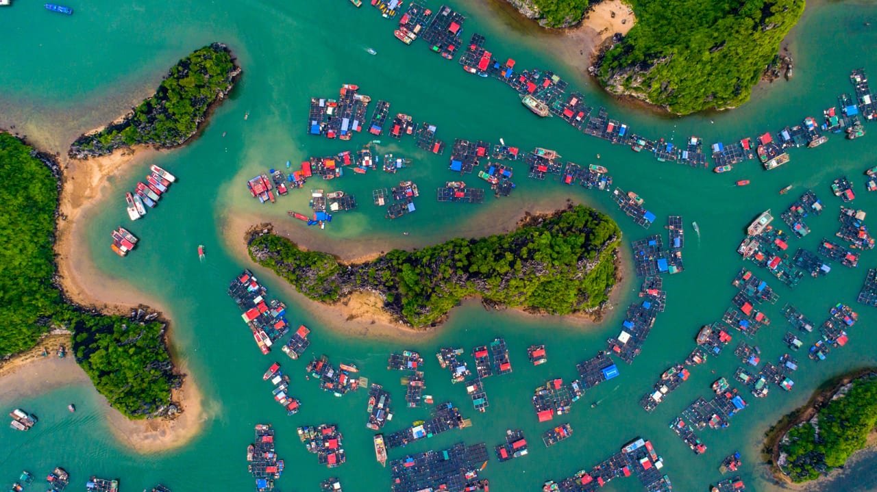 Lan Ha Bay Half Day Sunset Cruise