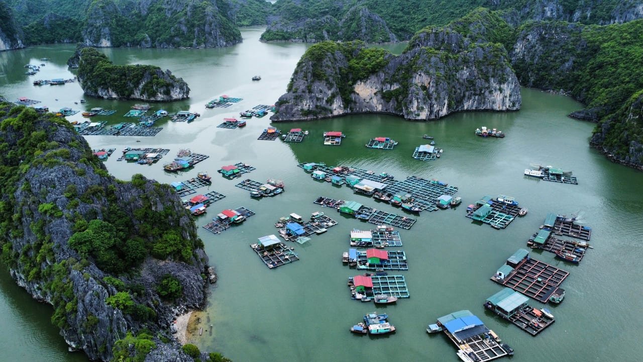 Half Day Trekking Cat Ba National Park