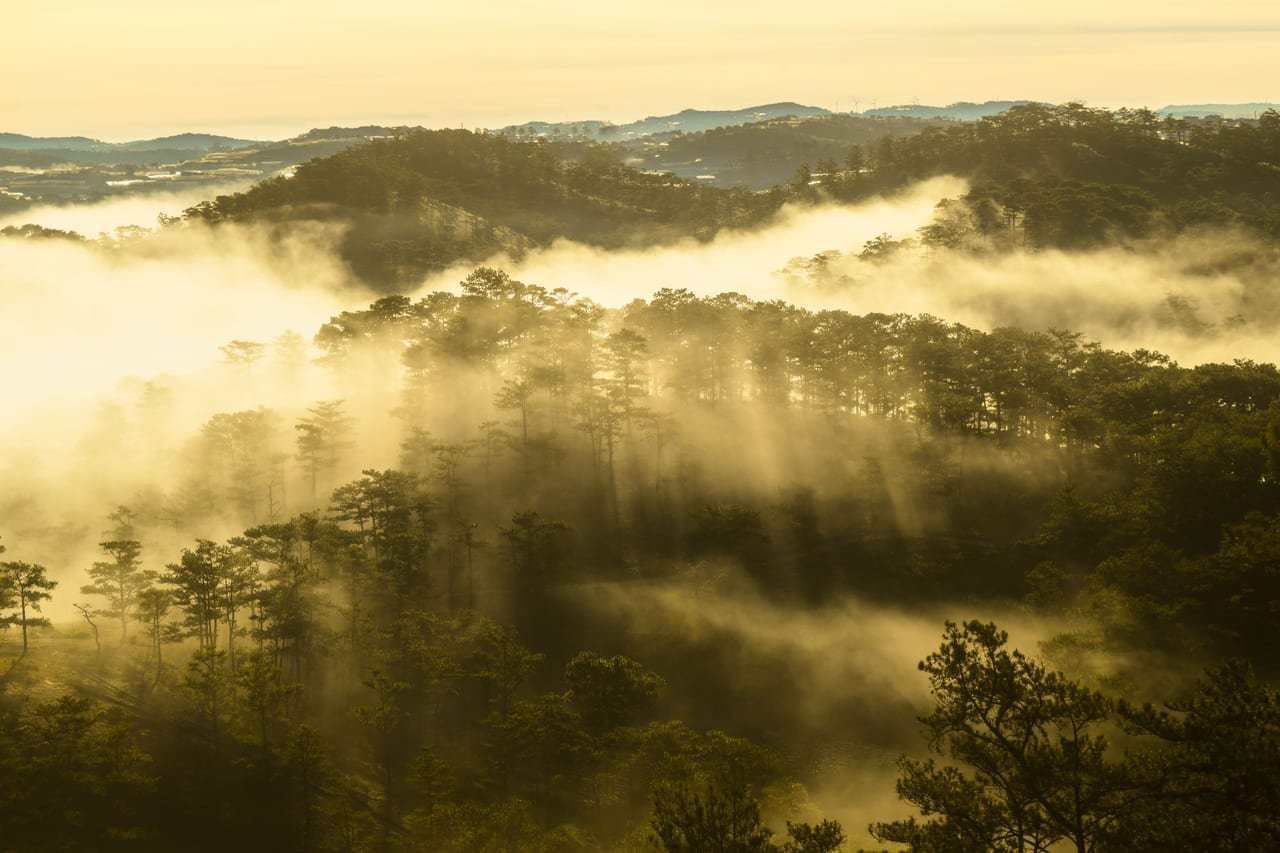 Da Lat Flower Highland, Mongo Land, Me Linh Coffee & Tuyen Lam SUP/Kayak