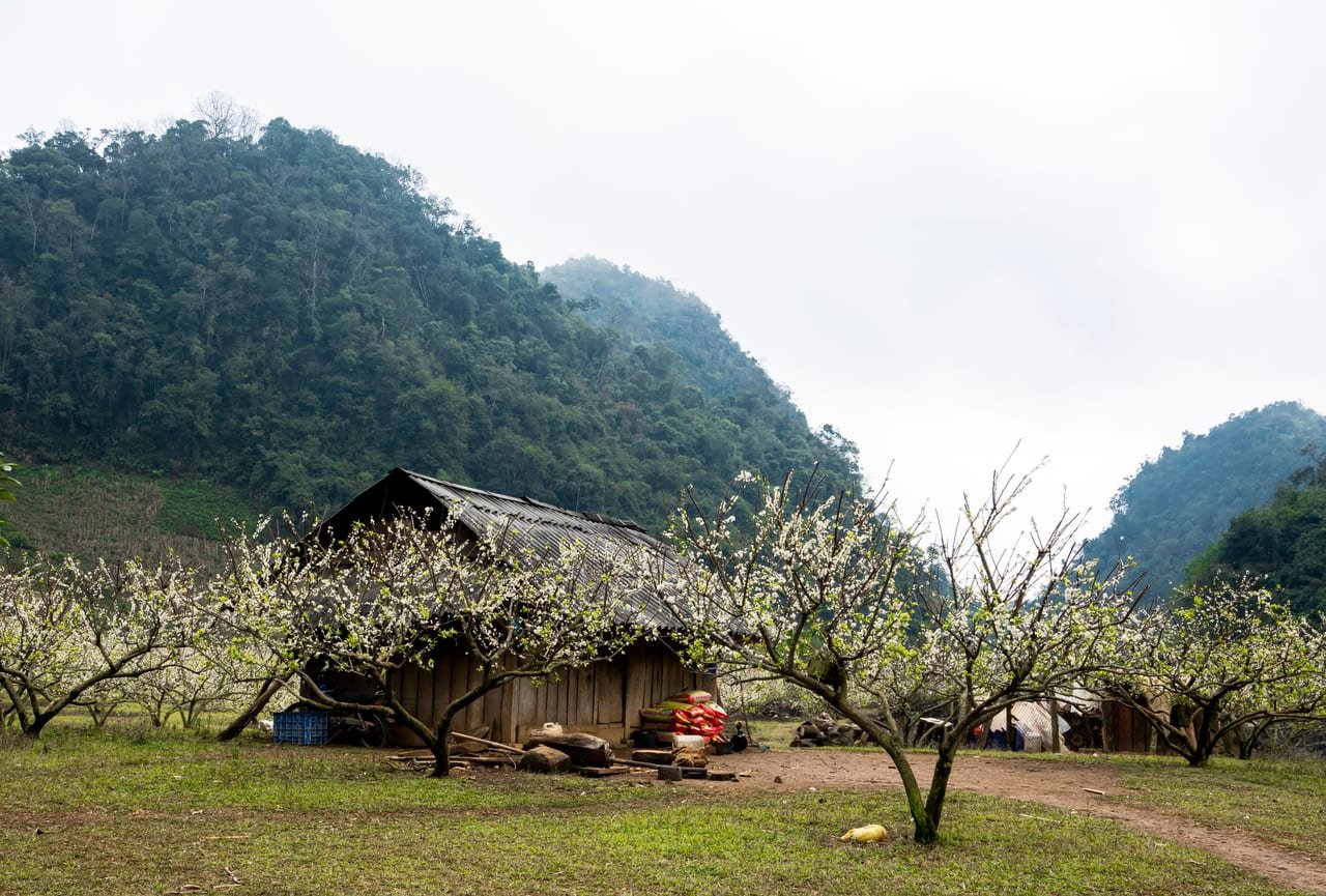 Mai Chau – Pu Luong – Ninh Binh Adventure Tour