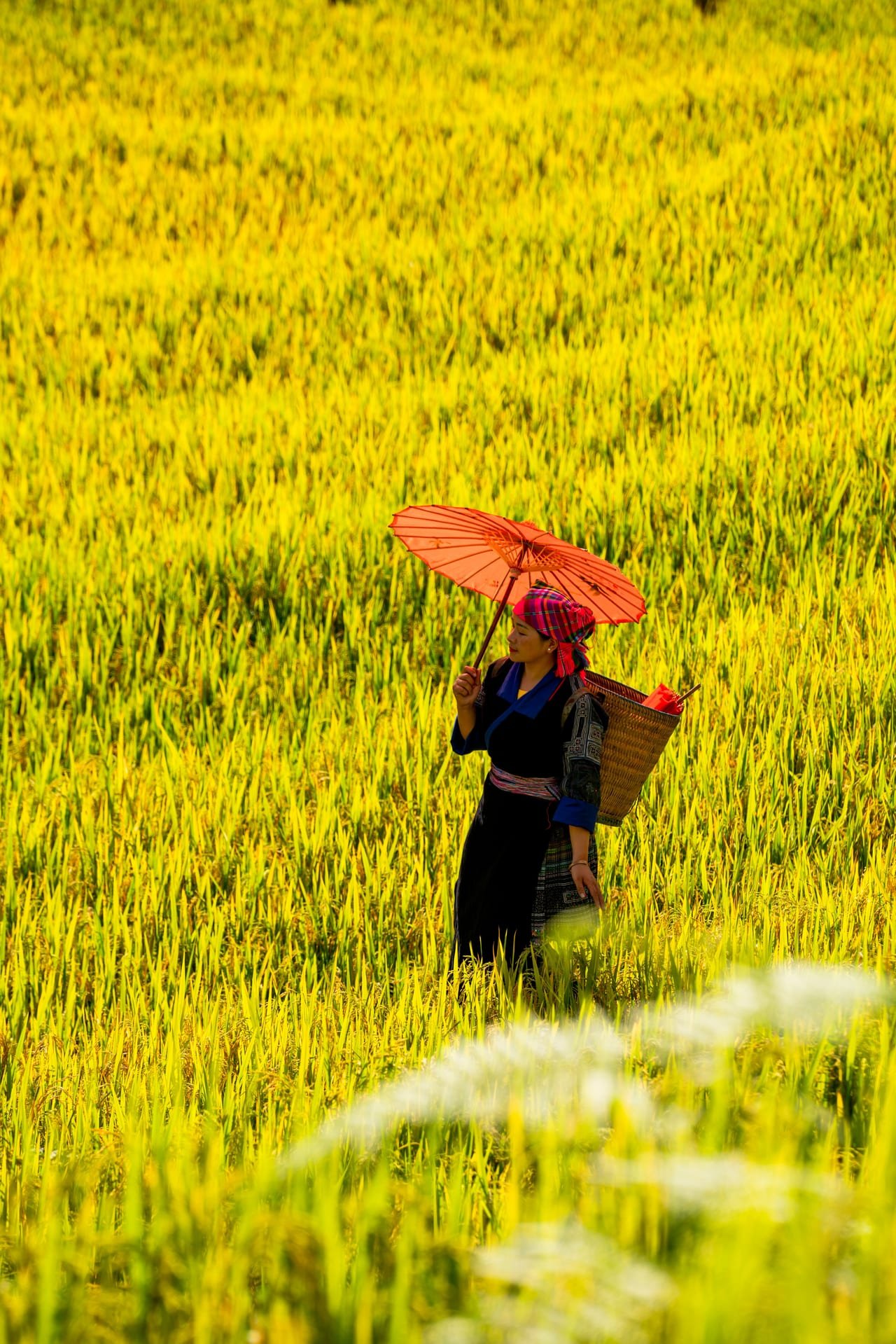 Exploring Countryside in Northern Vietnam - Mai Chau & Pu Luong 4 Days