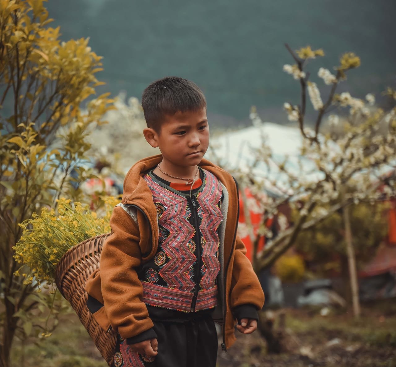 Mai Chau - Pu Luong Adventure