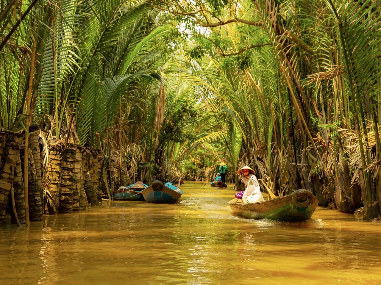 Insight Mekong Delta Day Trip from Saigon