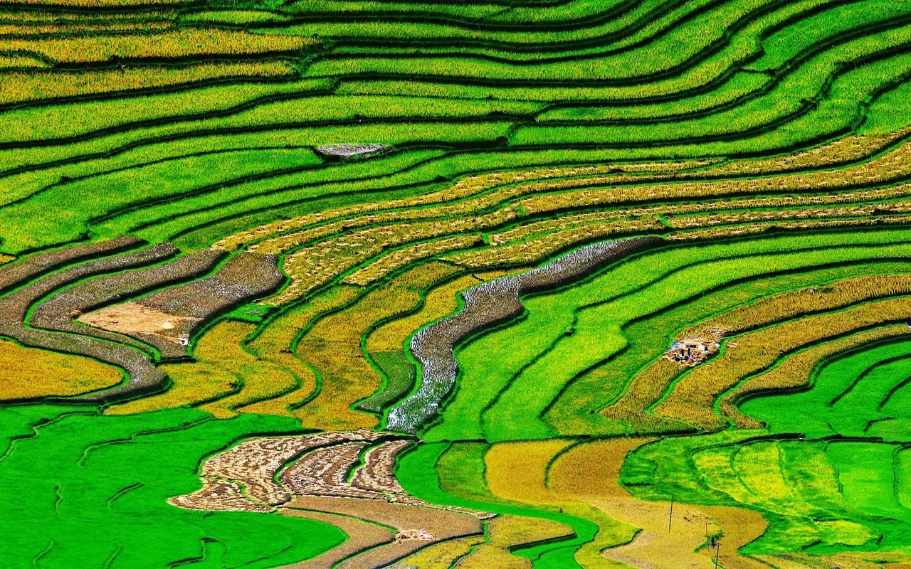 North – West Vietnam Adventure 7 Days: Nghia Lo – Mu Cang Chai – Lai Chau – Sapa – Bac Ha – Hanoi
