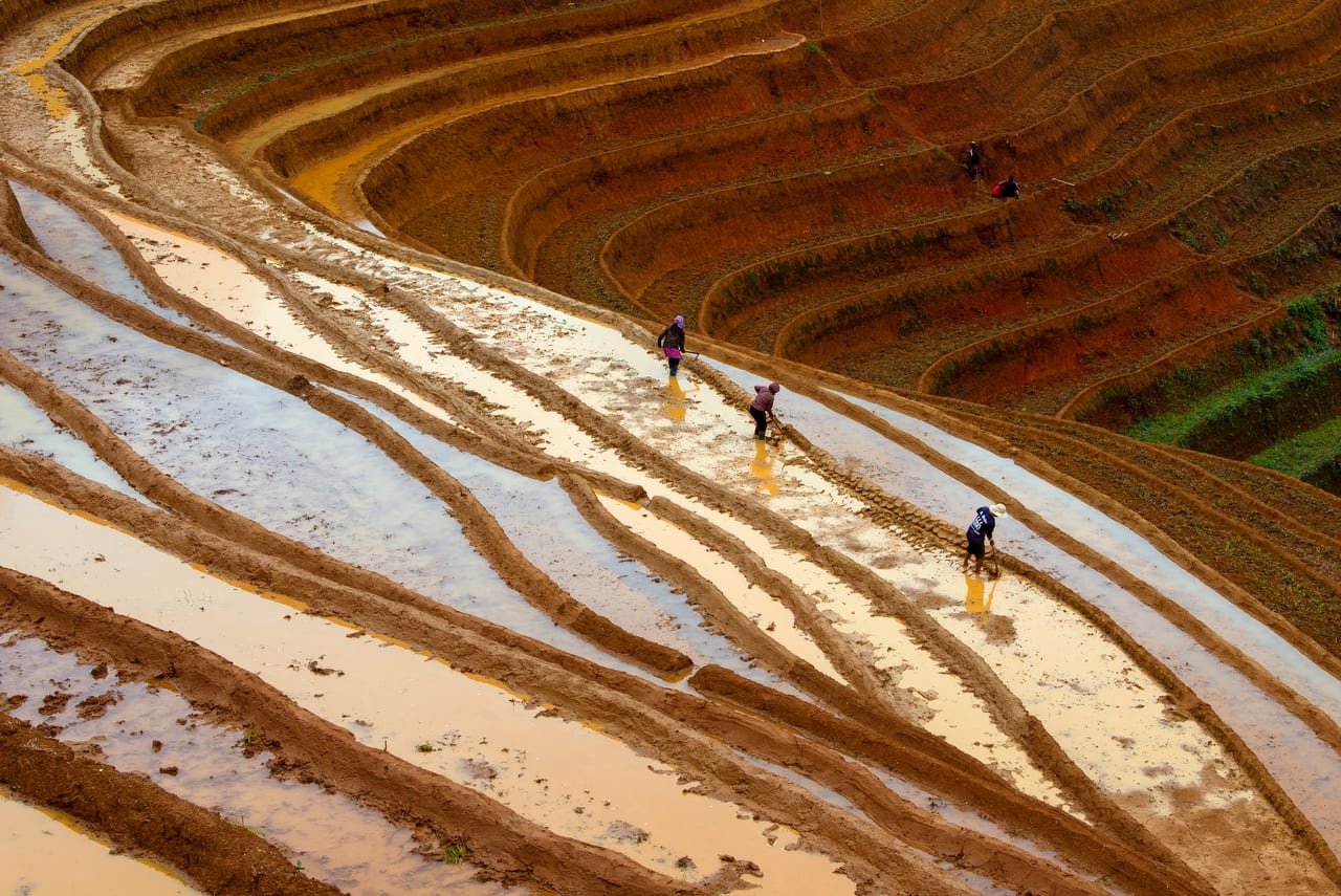 MU CANG CHAI ESSENTIALS