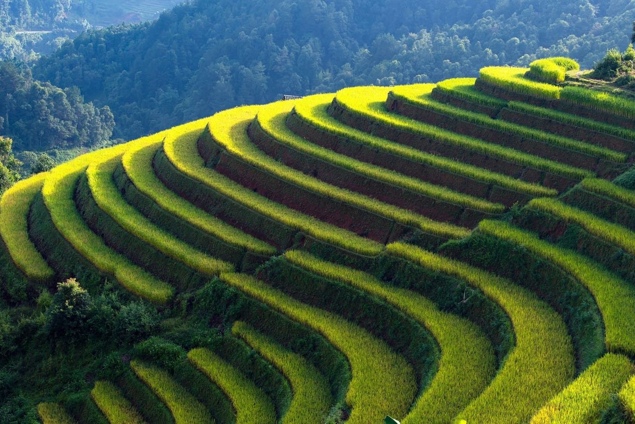 THE ENTIRE MU CANG CHAI