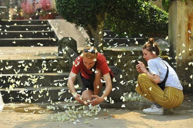 Ninh Binh Private Tour 1 Day - Hoa Lu, Trang An, Mua Cave & Bich Dong (from Ninh Binh)