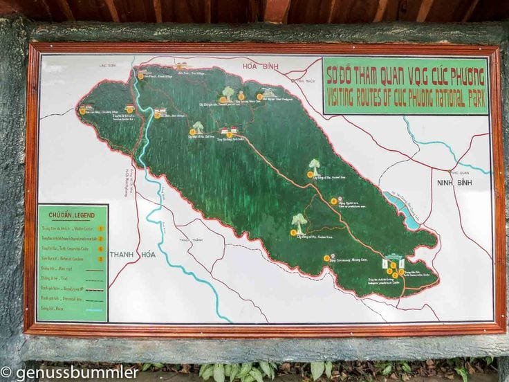 Ninh Binh Private Tour 1 Day - Hoa Lu, Tam Coc, Mua Cave & Bich Dong (from Ninh Binh)