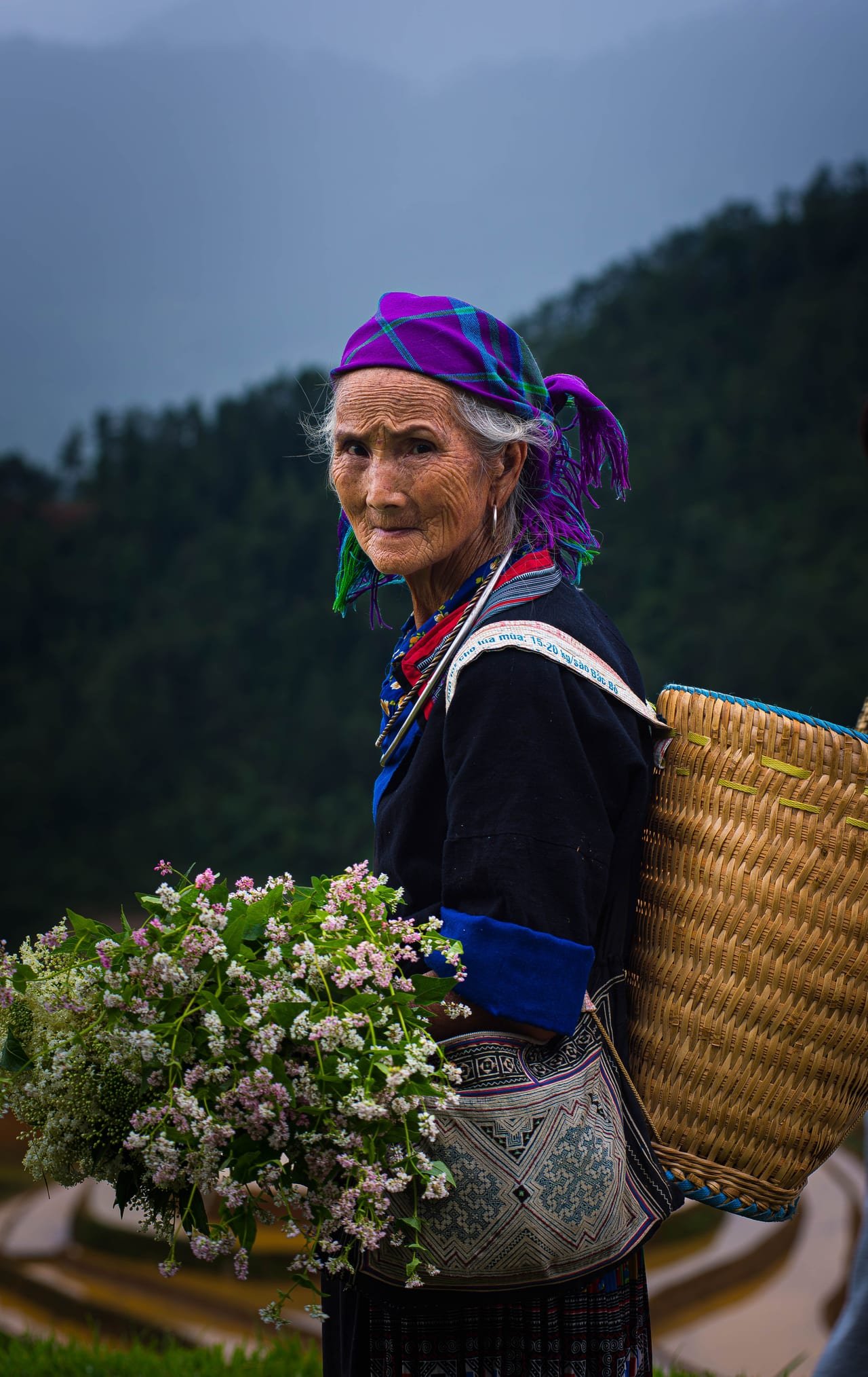 Highlights of Vietnam Village Life - Ninh Binh, Cuc Phuong & Pu Luong 5 Days
