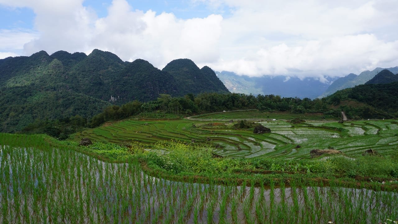 Exploring Countryside in Northern Vietnam - Mai Chau & Pu Luong 4 Days