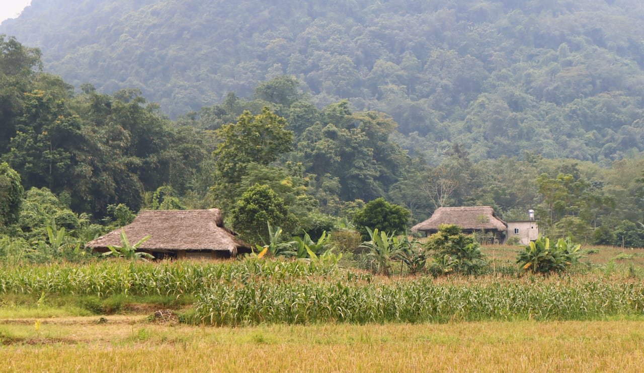 Epic Loop Tour - Pu Luong, Ninh Binh & Halong Bay 4 Days