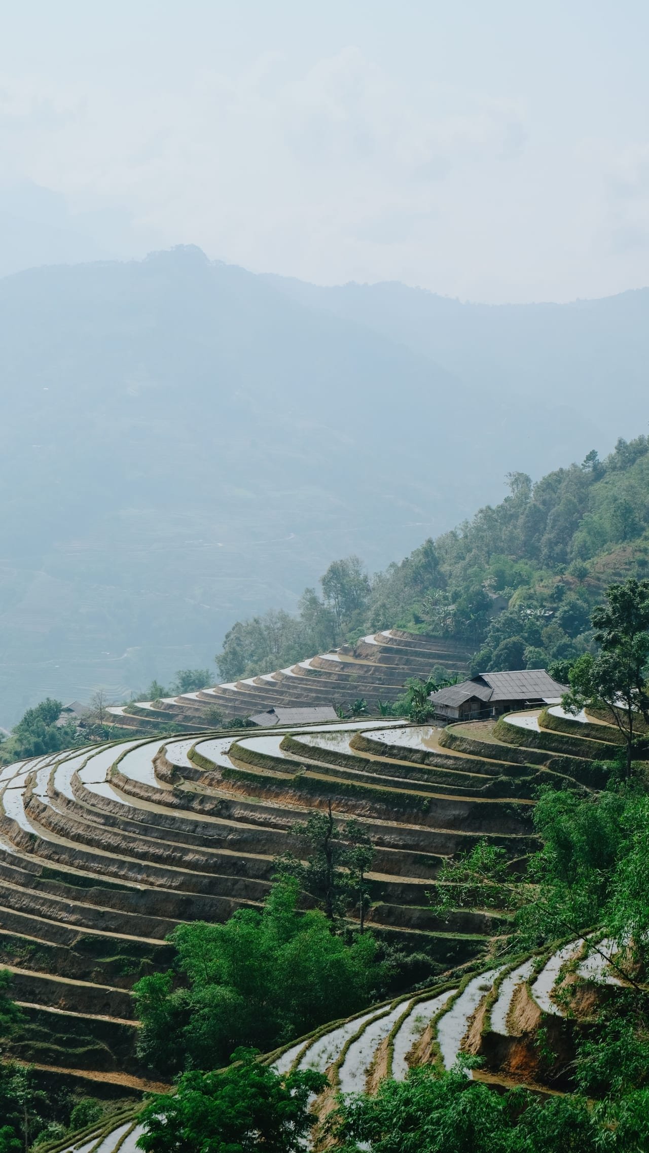5-Day Authentic Northern Vietnam Tour: Da Bac – Mai Chau – Pu Luong – Ninh Binh – Hanoi