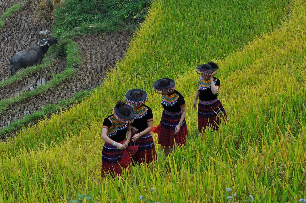 Mai Chau – Pu Luong – Ninh Binh Adventure Tour