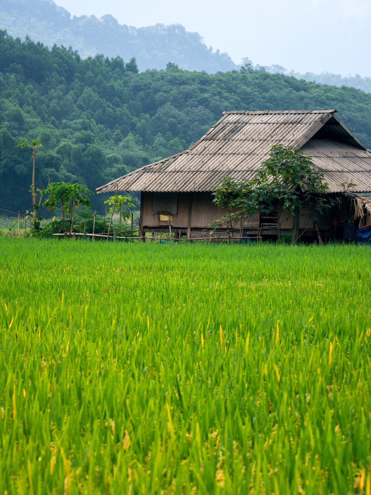 PU LUONG VACATION FROM HANOI