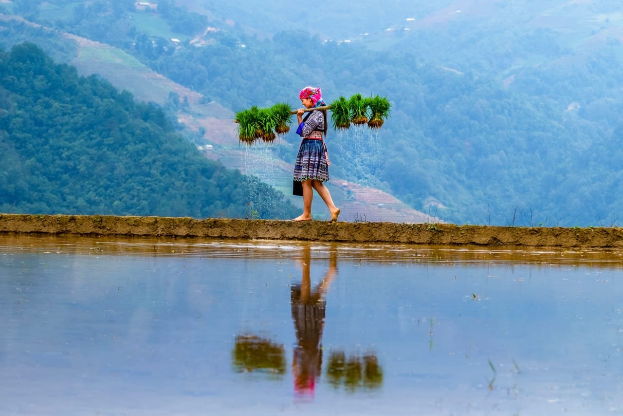 Sapa Tour 1 Day - Y Linh Ho, Lao Chai & Ta Van Village