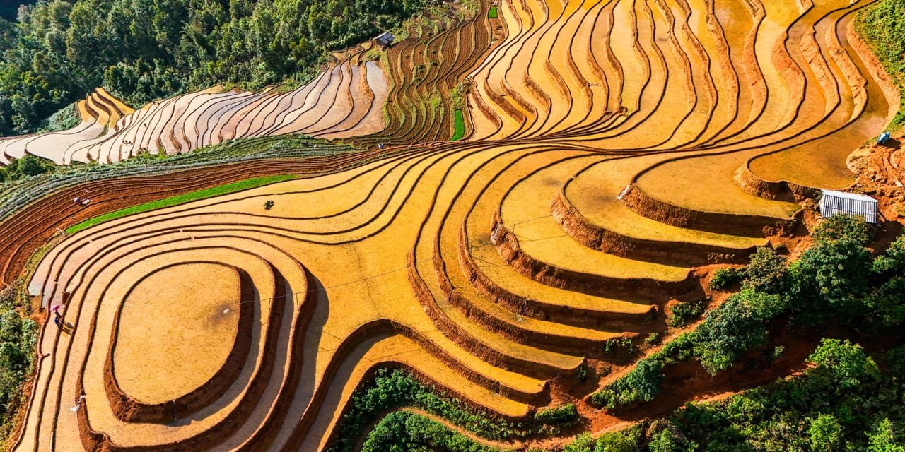 Sapa Valley Trekking Full day