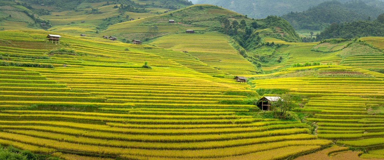 Sapa Ethnic Market Full day