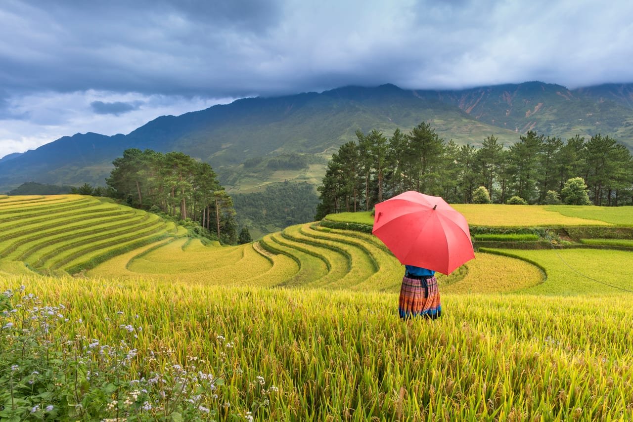 Luxury Shuttle Bus Transfer Hanoi - Sapa