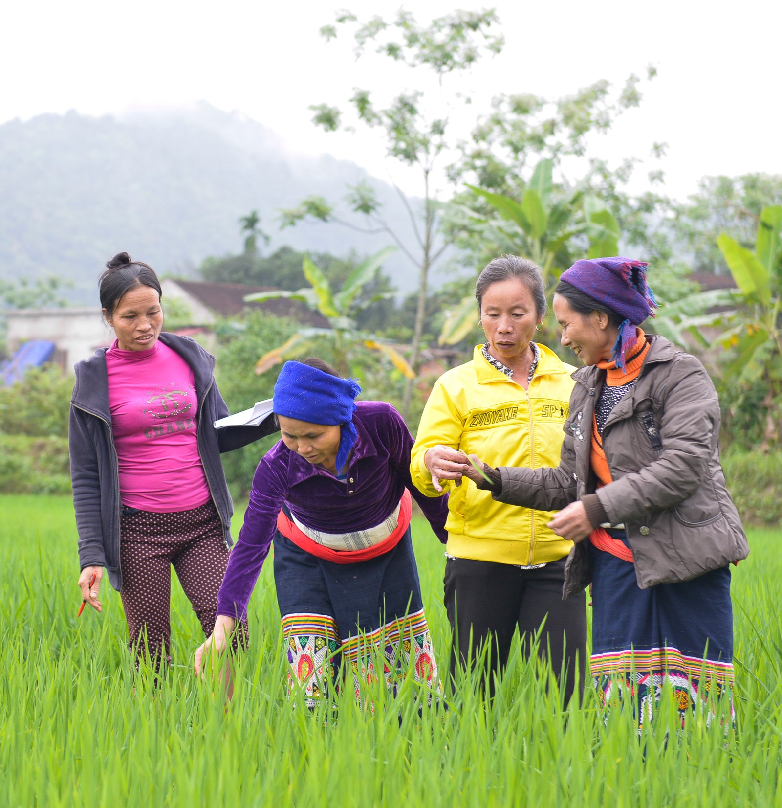 Breathe After Storm Tour - Pu Luong 2 Days 1 Night