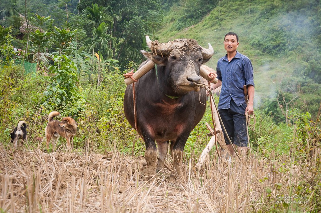 Ninh Binh Pu Luong Tour 3 Days 2 Nights